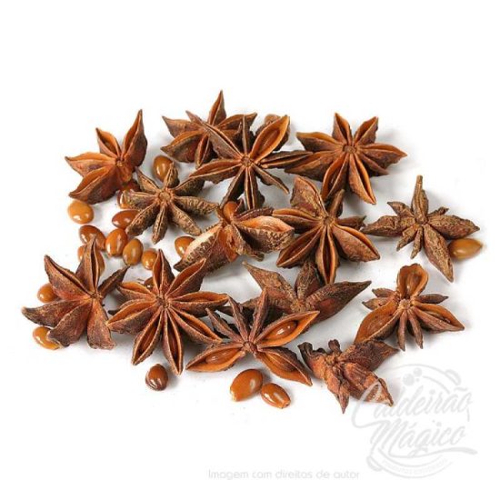 Anis Estrelado 20gr