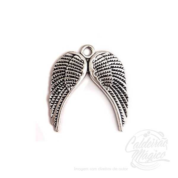 ASAS DE ANJO ASAS DE ANJO