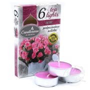 VELAS TEA LIGHT ROSAS