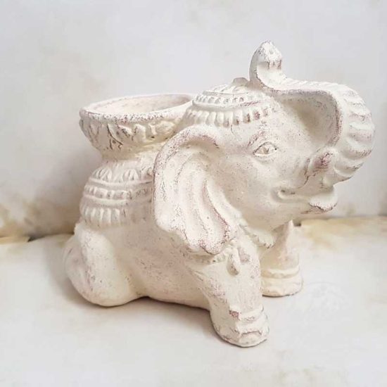 Queimador Elefante Creme
