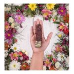 Tocha de Rosa Sagrada Madre - Image 2