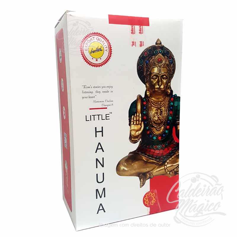 Incenso Sree Vani Hanuma