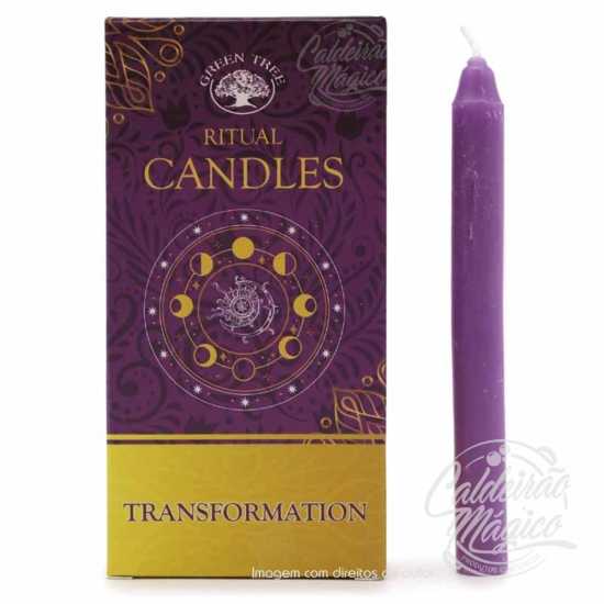 Conjunto 10 velas Green Tree - Transformação