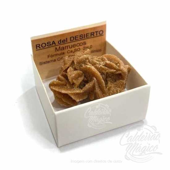 Rosa do Deserto 4x4