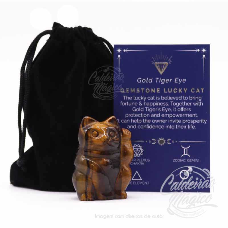 Gato Olho Tigre Gato da Boa Sorte em Olho Tigre