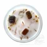 Vela Sweet Ginger e Olho Tigre - Vitalidade