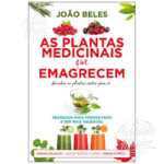 As Plantas Medicinais que Emagrecem