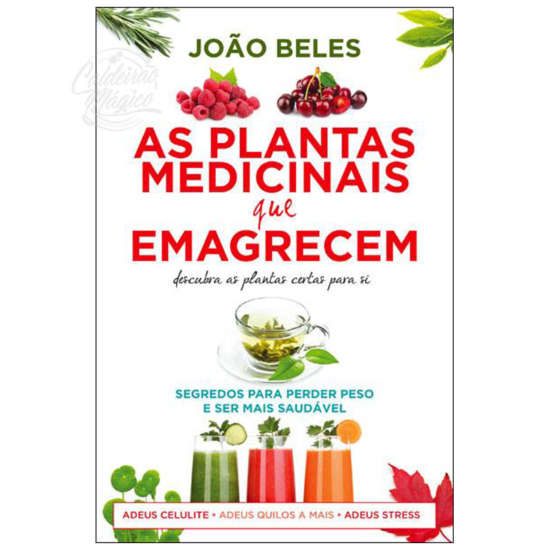 As Plantas Medicinais que Emagrecem