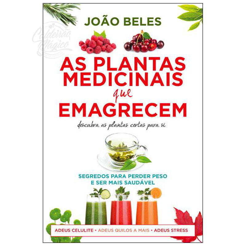 As Plantas Medicinais que Emagrecem
