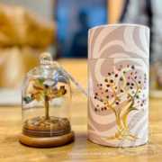 Árvore 7 Chakras em Cúpula de Vidro